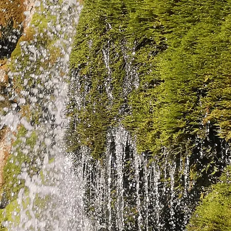 Am Wasserfall *