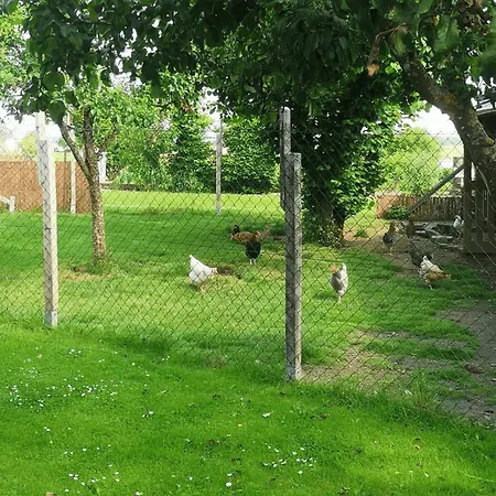 Am Wasserfall Apartmán Nohn (Rhineland-Palatinate)